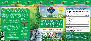 Garden Of Life Perfect Food RAW 100% Organic Young Wheat Grass Juice Powder - raw whole food supplement