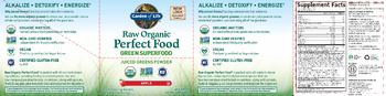 Garden Of Life Raw Organic Perfect Food Apple - whole food supplement
