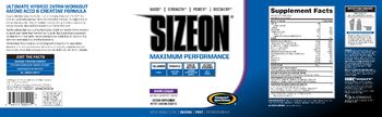 Gaspari Nutrition SizeOn Grape Cooler - supplement