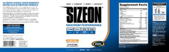 Gaspari Nutrition SizeOn Orange Cooler - supplement