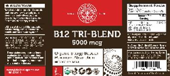 Global Healing Center B12 Tri-Blend 5000 mcg - supplement