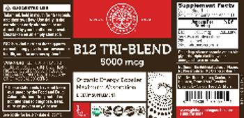 Global Healing Center B12 Tri-Blend 5000 mcg - supplement