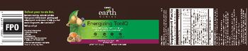 GNC Earth Genius Energizing TonIQ Raspberry Green Tea - supplement