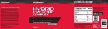 GNC Pro Performance Hybrid Creatine Complex Fruit Punch - supplement