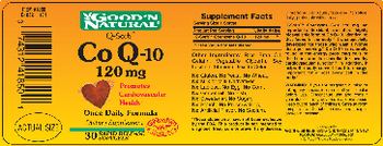 Good 'N Natural Q-Sorb Co Q-10 120 mg - supplement