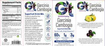 GT Genesis Today Garcinia Cambogia Acai Blueberry Flavor - supplement