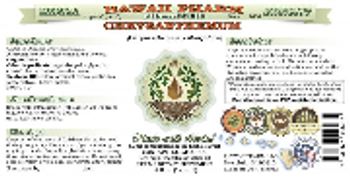 Hawaii Pharm Chrysanthemum - herbal supplement