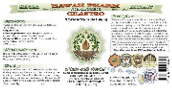 Hawaii Pharm Cilantro - herbal supplement