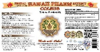 Hawaii Pharm Coleus - herbal supplement