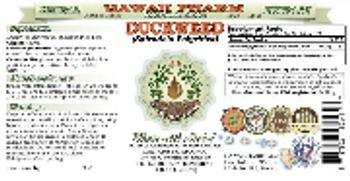 Hawaii Pharm Duckweed - herbal supplement