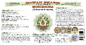 Hawaii Pharm Echinacea - herbal supplement