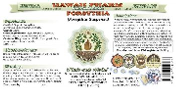 Hawaii Pharm Forsythia - herbal supplement