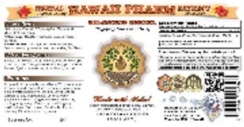 Hawaii Pharm Kalanchoe Pinnata - herbal supplement