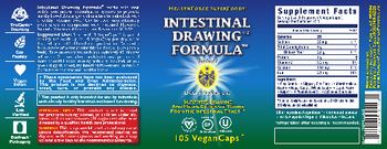 HealthForce SuperFoods Intestinal Drawing Formula - supplement