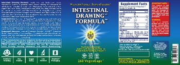 HealthForce SuperFoods Intestinal Drawing Formula - supplement