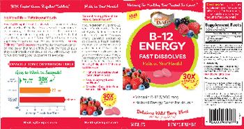 Healthy Delights B-12 Energy Fast Dissolves Delicious Wild Berry Blast - supplement