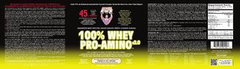 Healthy 'N Fit 100% Whey Pro-Amino v2.0 Vanilla Ice Cream - advanced supplement