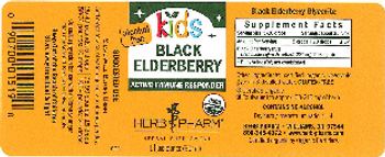 Herb Pharm Kids Black Elderberry - herbal supplement