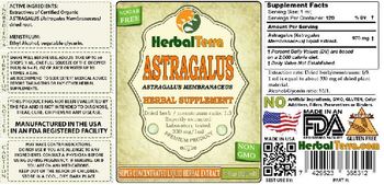 Herbal Terra Astragalus - herbal supplement