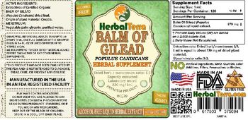 Herbal Terra Balm of Gilead - herbal supplement