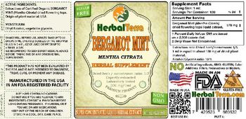 Herbal Terra Bergamot Mint - herbal supplement