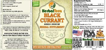 Herbal Terra Black Currant - herbal supplement