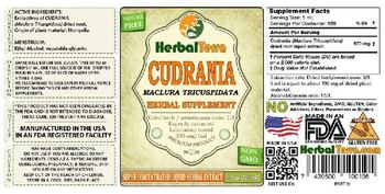 Herbal Terra Cudrania - herbal supplement