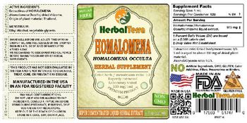 Herbal Terra Homalomena - herbal supplement