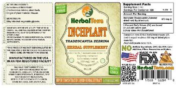 Herbal Terra Inchplant - herbal supplement