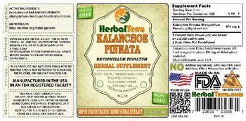 Herbal Terra Kalanchoe Pinnata - herbal supplement