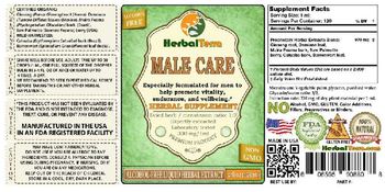Herbal Terra Male Care - herbal supplement