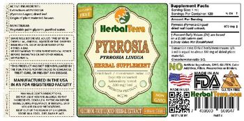 Herbal Terra Pyrrosia - herbal supplement