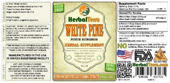 Herbal Terra White Pine - herbal supplement