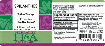 Herbalist & Alchemist H&A Spilanthes - herbal supplement
