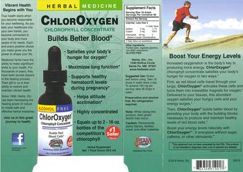 Herbs Etc. ChlorOxygen Chlorophyll Concentrate Alcohol Free - herbal supplement