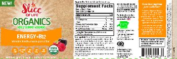 Hero Nutritionals Slice Of Life Organics Energy + B12 Natural Berry Flavor - supplement