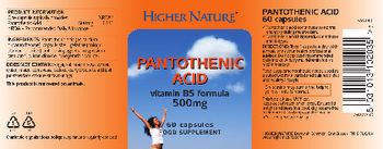 Higher Nature Pantothenic Acid 500 mg - food supplement