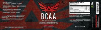 ImSoAlpha Instanitized BCAA Fruit Punch - supplement