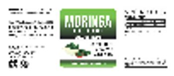 Infiniti Creations Moringa Leaf Extract 1200 mg Daily - supplement