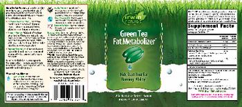 Irwin Naturals Green Tea Fat Metabolizer - supplement