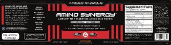 Kaged Muscle Amino Synergy Orange - supplement