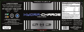 Kaged Muscle Hydra-Charge Fruit Punch - electrolyte supplement