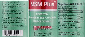 Karuna MSM Plus - supplement