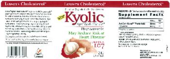 Kyolic Kyolic Aged Garlic Extract Formula 107 - odorless organic garlic supplement