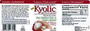 Kyolic Kyolic Aged Garlic Extract Formula 107 - odorless organic garlic supplement
