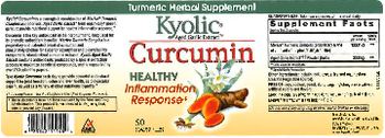 Kyolic Kyolic Curcumin - turmeric herbal supplement