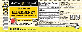 Mason Natural Sambucus Elderberry with Echinacea & Propolis Raspberry Flavor - supplement