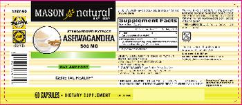Mason Natural Standardized Extract Ashwagandha 500 mg - supplement