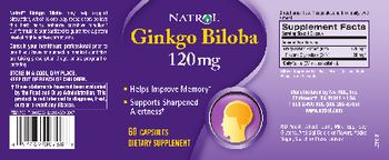 Natrol Ginkgo Biloba 120 mg - supplement