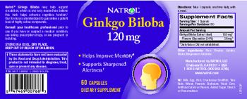 Natrol Ginkgo Biloba 120 mg - supplement